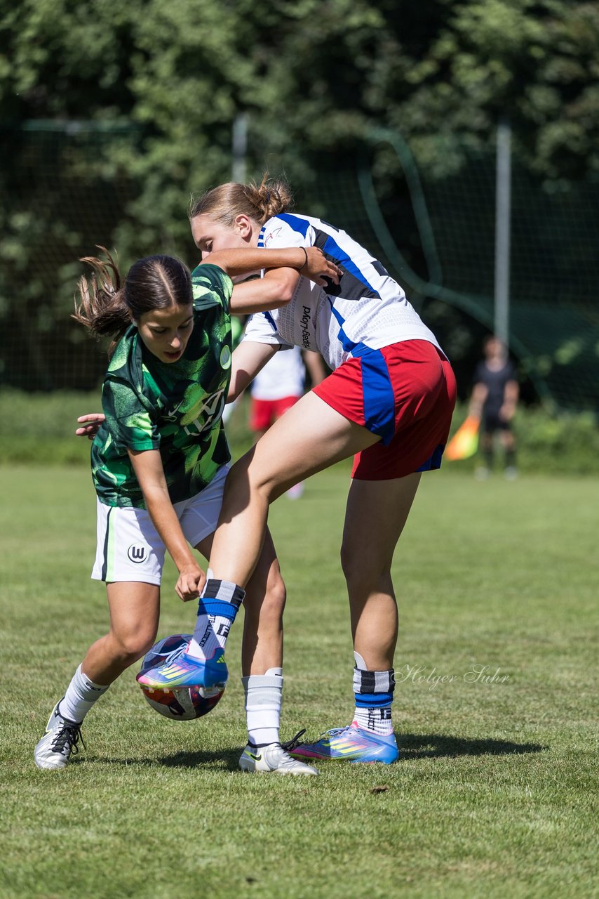 Bild 98 - wBJ Hamburger SV - VfL Wolfsburg : Ergebnis: 5:1